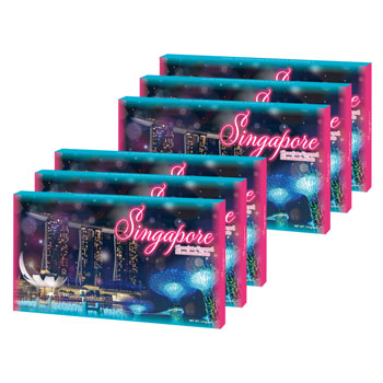 シンガポール 土産 シンガポール マカデミアナッツチョコレート 6箱セット【446025】