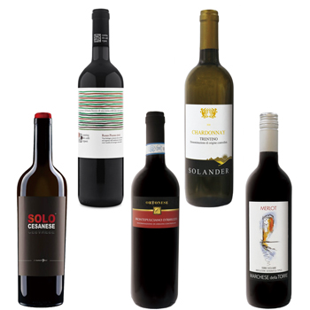 イタリア 土産 イタリア銘醸地 ワイン5種セット【L41116】【L01161】