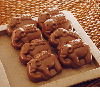 タイ 土産 エレファント チョコレート 15粒入り【256104】 | 三洋堂