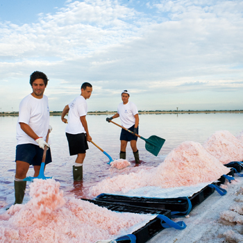 フランス 土産 カマルグ フルール・ド・セル 3個セット【251128
