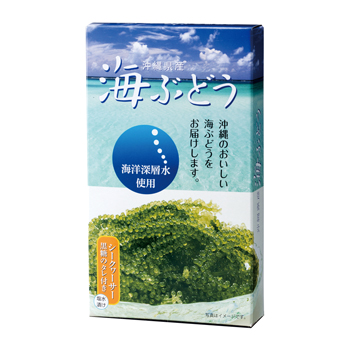 沖縄 土産 沖縄県産海ぶどう[別送][代引不可]【J24086】 | 三洋
