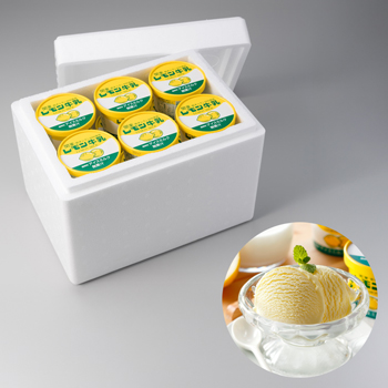 アイスクリームのカップ容器  1個あたり10円 アイスクリーム用 容器 入れ ミニ 440ml 4個セット BPAフリー