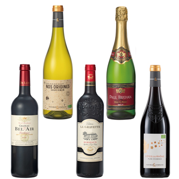 フランス 土産 フランス銘醸地 ワイン 5本セット【L41107】【L01154】