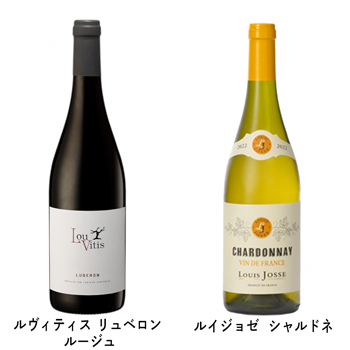 フランスワイン フランス 土産 フランス銘醸地ワイン 5種セット【L51107