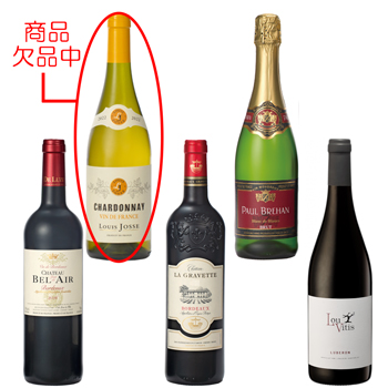 フランス 土産 フランス銘醸地ワイン 5種セット【L51107