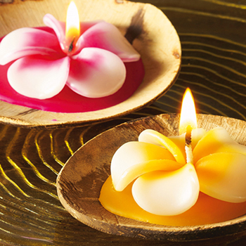 ハワイ 土産 プルメリアキャンドル 6個セット【253152】 | 三洋堂 世界